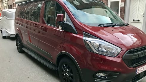 WOLF TRAIL – FORD NUGGET PLUS TRAIL 2022, economical and full option