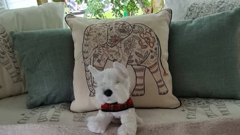 Gino Da Camper – 2 berth Peugeot campervan from 2017