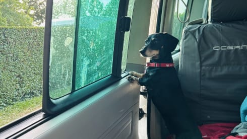 The West End Wanderer – West End Wanderer -Available for your Ultimate Campervan Adventure 