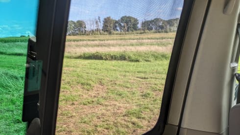 Santa Cruise – Ab geht's