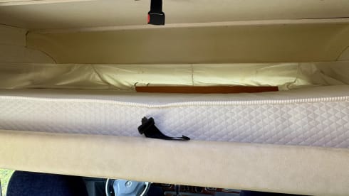 Rifora – Mercedes Hymer Starline 655 intégré 5 places