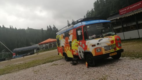 Tandy – Mercedes Oldtimer