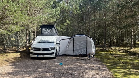 Hector – 2 berth Volkswagen T6 LWB 2016 ( awning sleeps additional 2 persons ) 