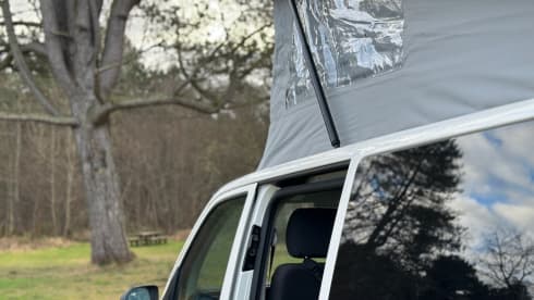 Corrie – Beyond Camping VW 4 Berth Camper