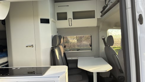 Grote beer – 4p Volkswagen campervan from 2022