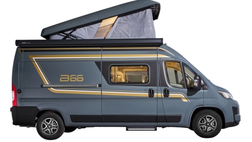 4 berth Bürstner bus from 2026