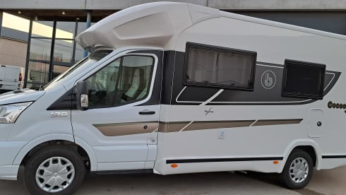 Benimar cocoon 488 2022
