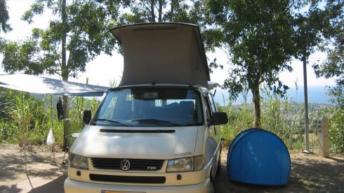 The last real Bulli – 4 person Volkswagen T4 California with lifting roof