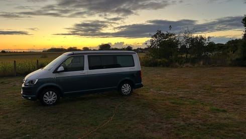 Ons Cali(fornia) – 4p Volkswagen campervan uit 2019