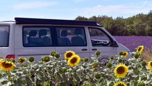 Confort Auto – Van Volkswagen California Coast Auto