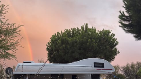 Roller Team alcove uit 2025