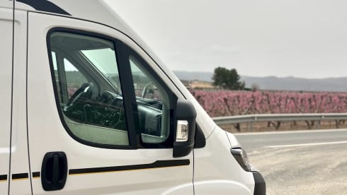 4p Benimar bus from 2026