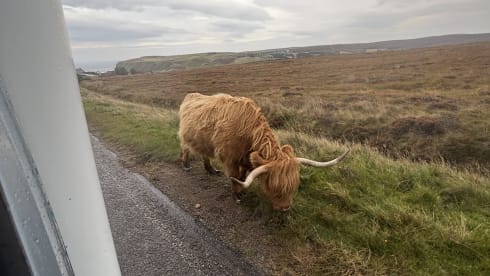 Harris – Camping-car 4 couchages confortable et moderne à St Andrews, en Écosse
