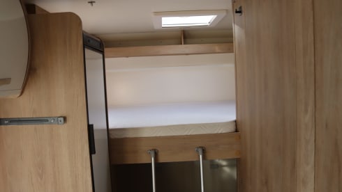 Équipe de roller 6p Alcove de 2018