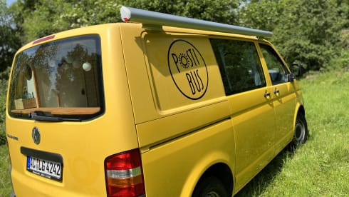 Pippin – VW T5 Postbus 