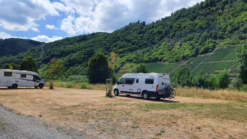 ROAD cruiser B – 2p Fiat bus from 2020