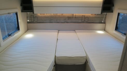 Mc4 - 339 – MCLOUIS MC4 339