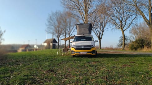 STORMY 1 – Volkswagen California Ocean 