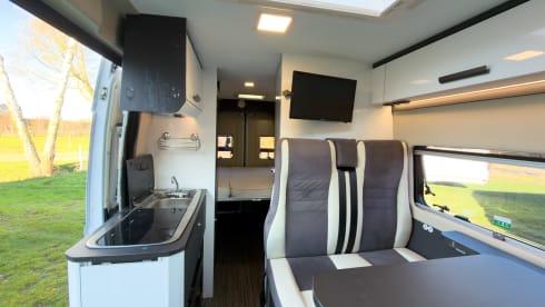 Witte Vlegel – Mclouis Menfys Matic 