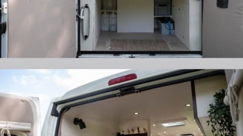 Monty – 2p Peugeot bus from 2017
