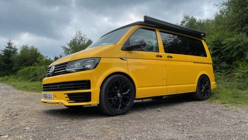 Bee – Meet Bee - VW CamperVan T6