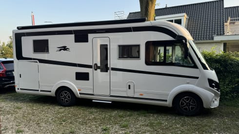 4p Laika integrated from 2024