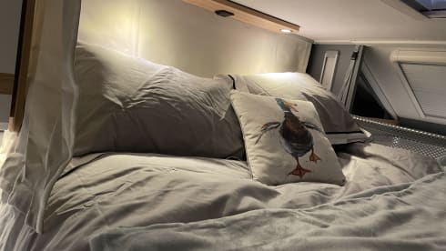 Mali the Moho – 4 berth Dethleffs semi-integrated from 2021