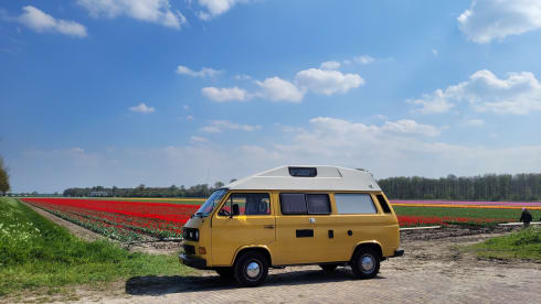 CHICO – cozy, neat, canary yellow oldtimer VW T3 for rent!