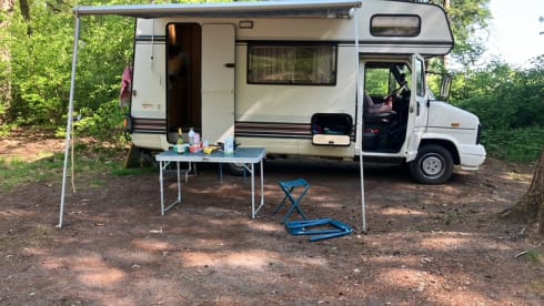 Gezellige oude dame  – Cozy family camper