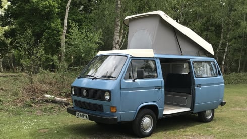 "Mya" - Classic VW T25