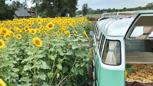 Volkswagen T2 bus from 1985