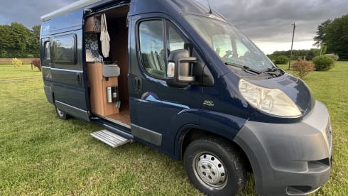 Spetter – 2p Fiat bus from 2013