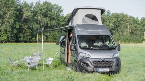 Pumba – Pössl 2 Win Plus 2021 - pop-up roof - 4 sleeping places