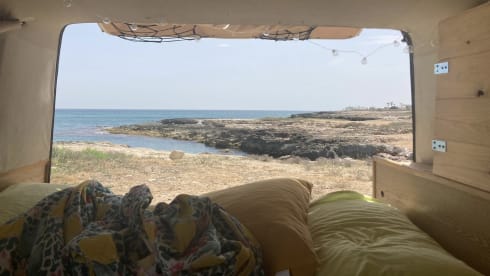 Sagittarius  β The Turbo-Slow Sagittarius