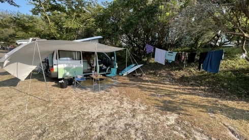 July – Cool fresh retro VW T4