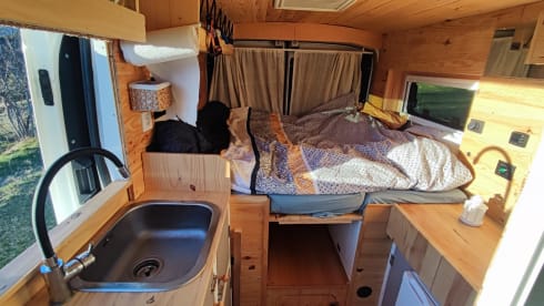 Shubby – Klaar voor het bestelwagenleven?