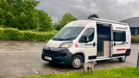 Buddy – 4 berth Citroën Relay from 2018