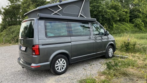 4p Volkswagen campervan uit 2024