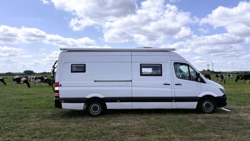 De Camper zonder Naam – Wunderschöner Mercedes-Benz Zweisitzer 
