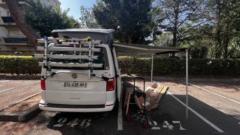 Le Poto Blanco  – T6 California Ocean