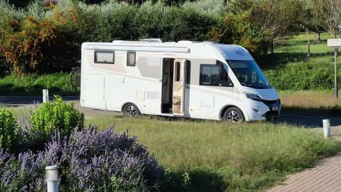 4p McLouis carat integraal uit 2019