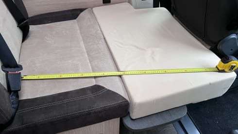 3p Fiat bus from 2019