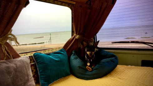 Motzzi  – Stunning van conversion