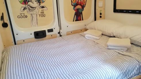 Gas Gas – Pegeout Boxer