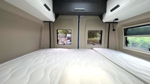 McLouis VAN Menfys 3 Prestige