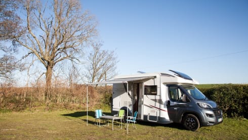 T-Line 590 – T-Line 590