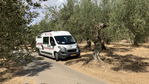 4-person Peugeot bus from 2017, sleeping 2 people