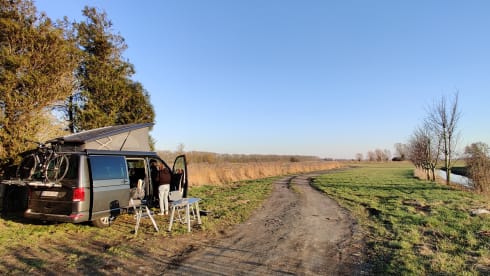 NOUVEAU VW CALIFORNIA AVEC PORTE-VÉLOS