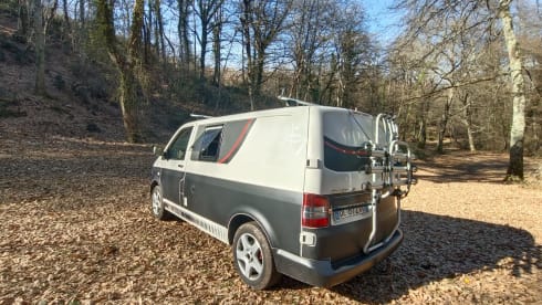 Vanity Van Fabulous T5