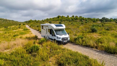 "Buck" – Benimar T 463 up